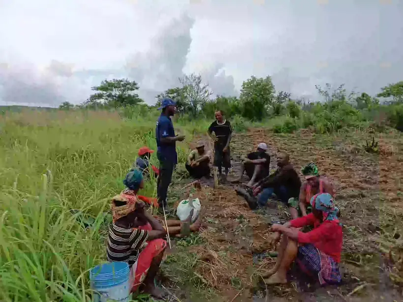 Produtores a trabalhar num campo em preparação
